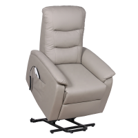 Elderly Care Remote Control Adjustable Recliner Chair Electric Rise Chair